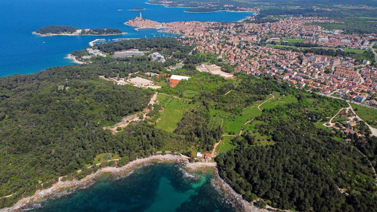 Cuvi