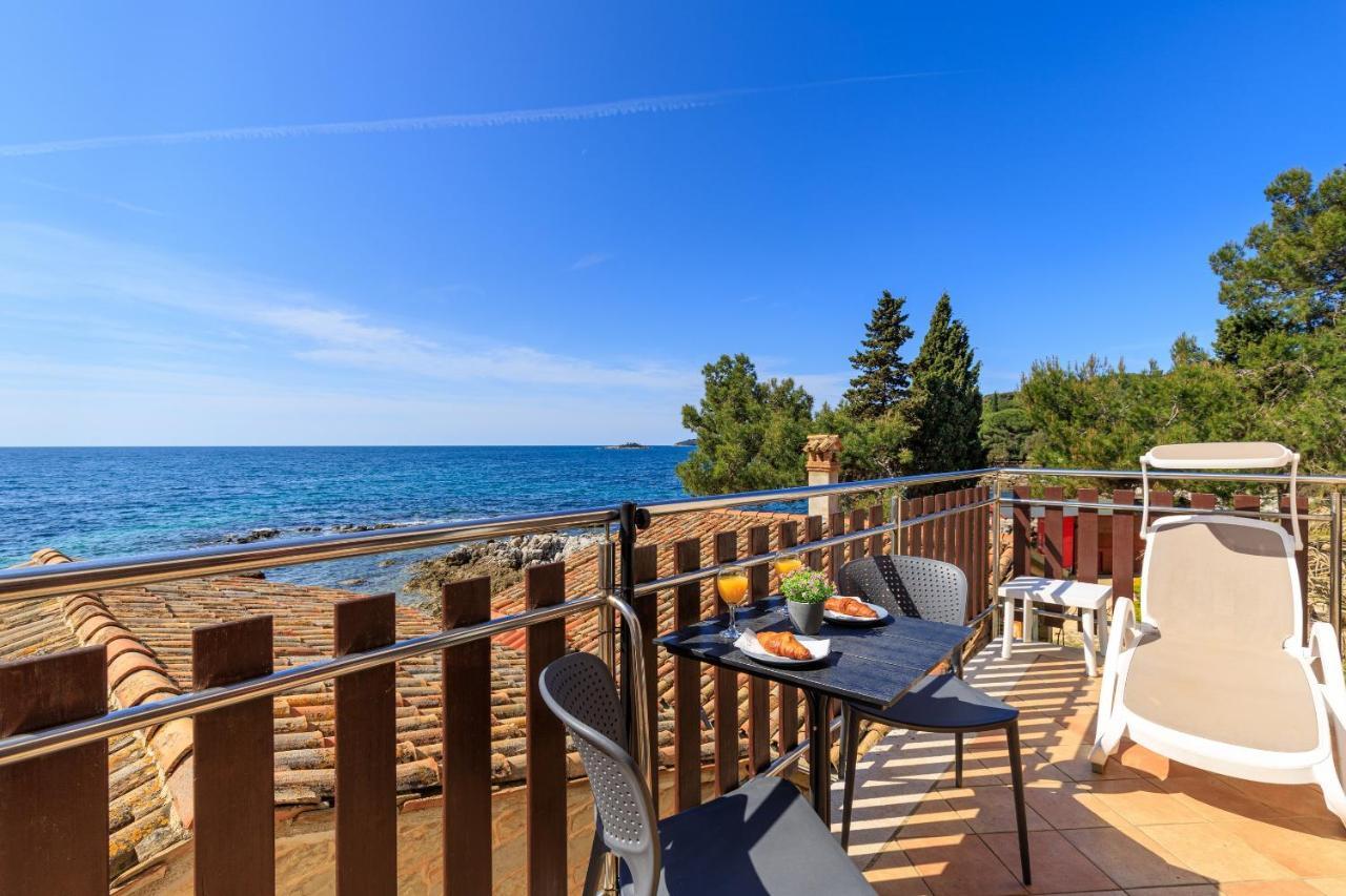 Apartament Cuvi *